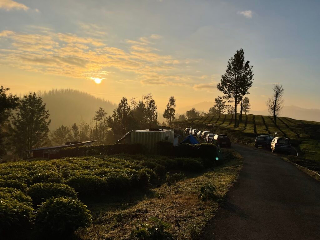 A beautiful and serene landscape moments before sunrise in Ooty Nilgiri